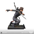 tomb raider the legend of lara croft dark horse direct figure04